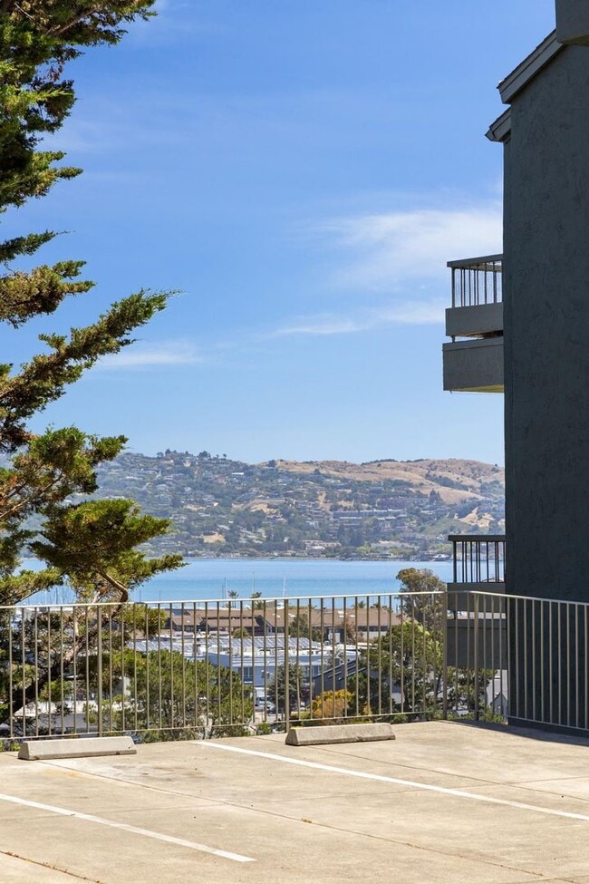 Building Photo - 2 Bedroom, 2 bathroom condo available with spectacular views of Richardson Bay!
