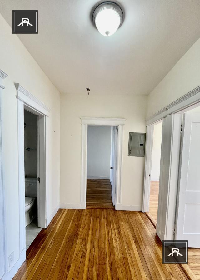 Building Photo - 2 bedroom in Brighton MA 02135