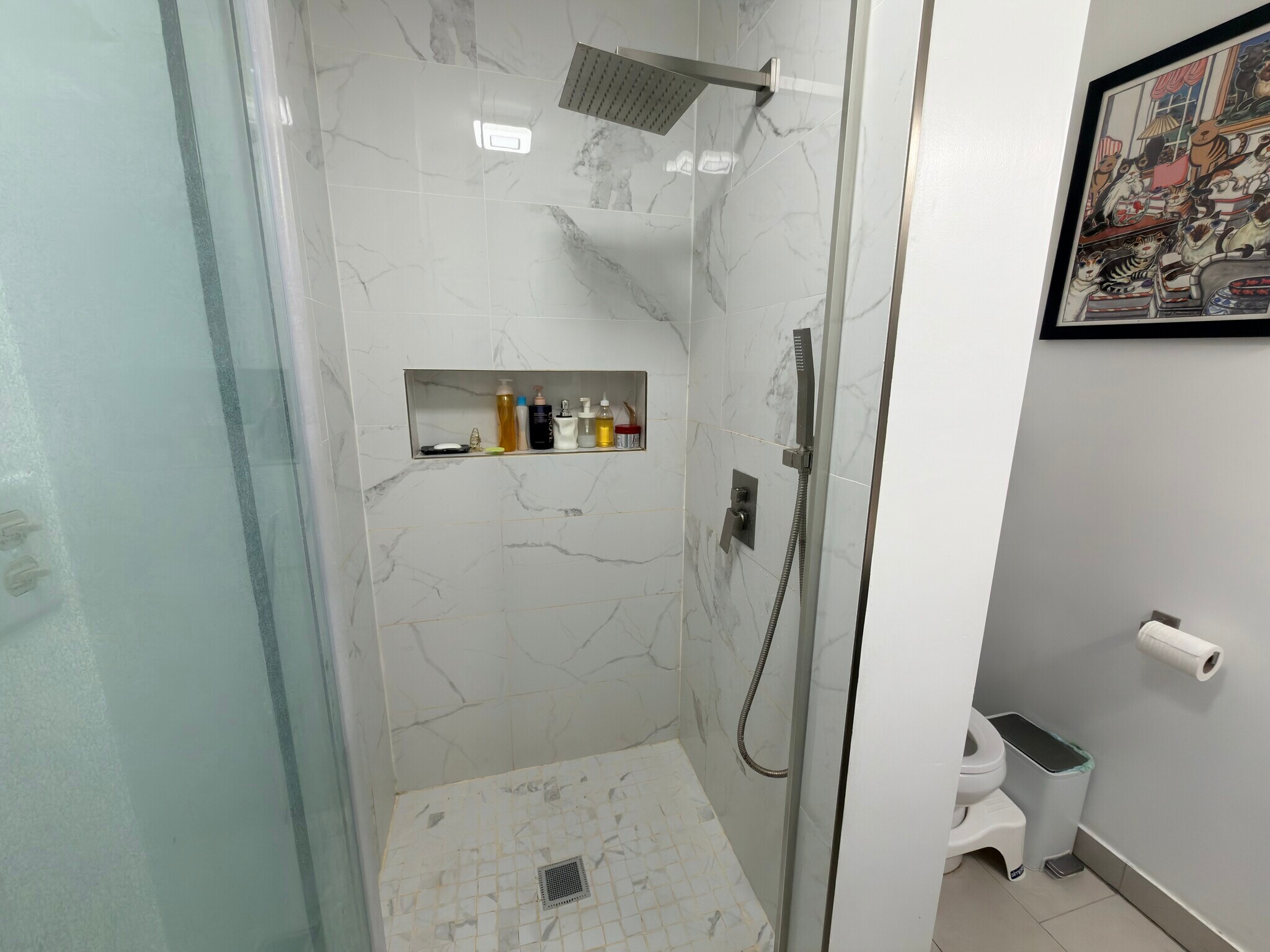 Modern Bathroom with Rainfall Shower Head - 1032 W 31st Pl