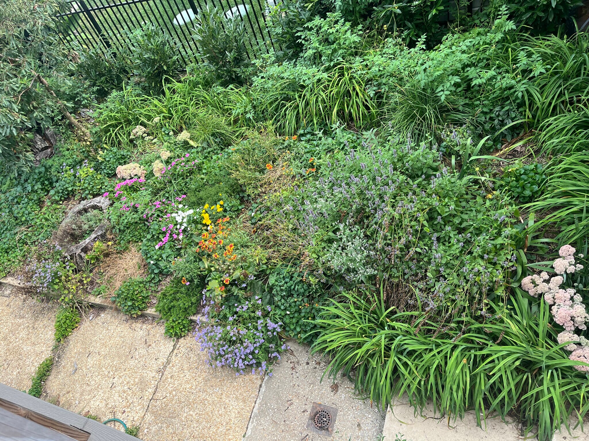 adjacent garden - 163 River Rd