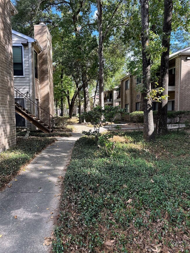 Building Photo - 3500 Tangle Brush Dr