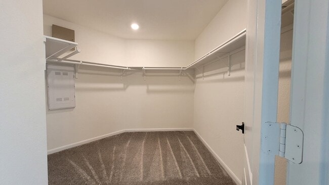 Building Photo - 5704 Bluebonnet Ln