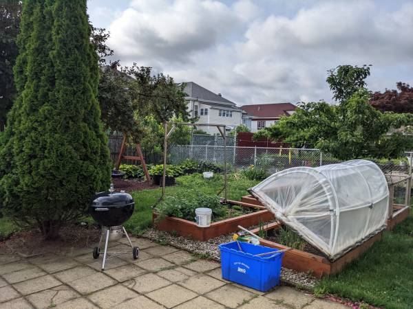 Backyard - 48 Wellington Rd