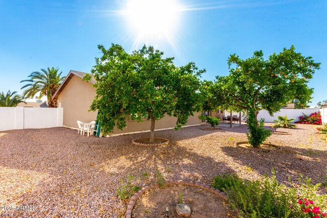 Building Photo - 5302 E Blanche Dr