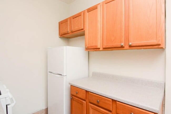 Building Photo - 4856 N Damen Ave