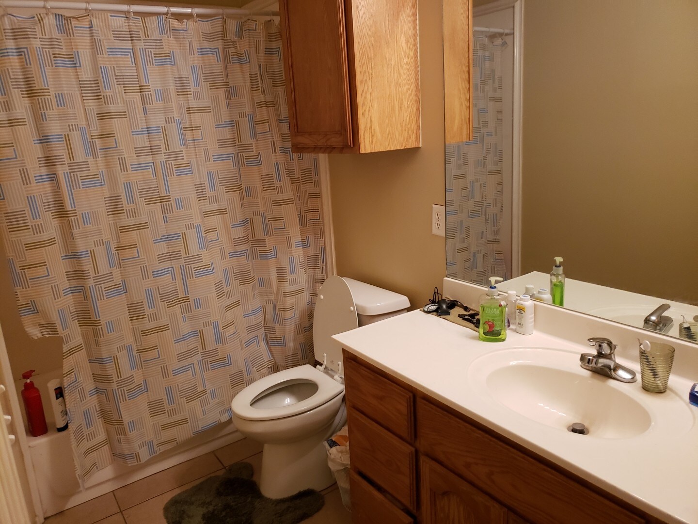 Bathroom - 2016 Bahamas Dr