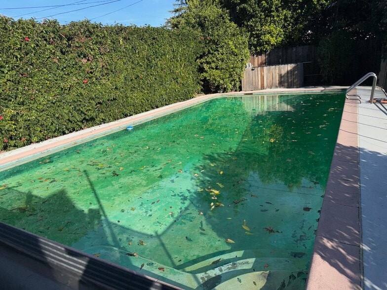 Pool - 4448 Carpenter Ave