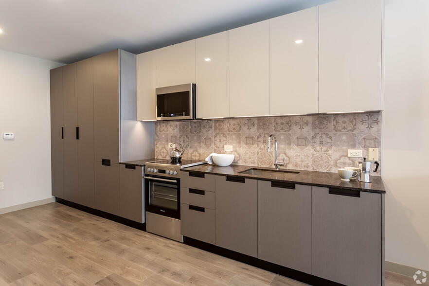 Pearl 111 Kitchen - Spectra Pearl