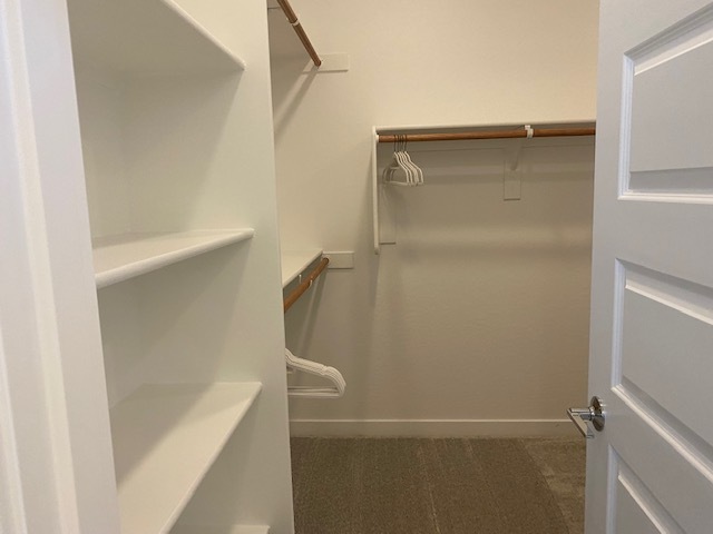 Primary walk-in closet - 8916 W Solano Dr