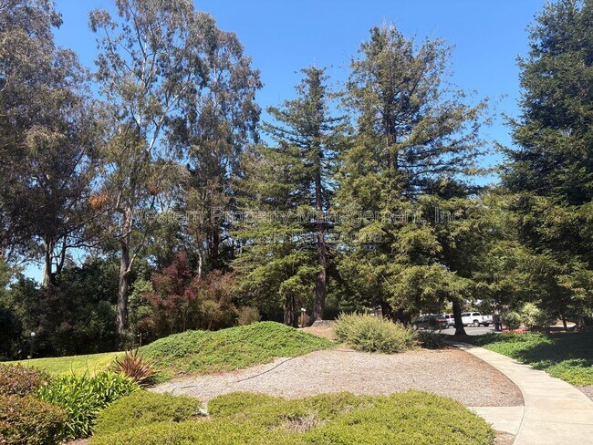 Building Photo - 1132 Callas Ln