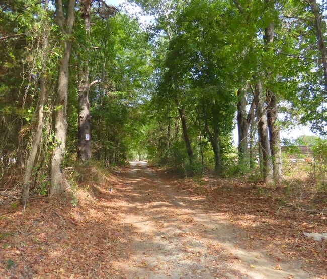 Building Photo - Country Living in Arp! 3 Bedroom, 1 Bath H...