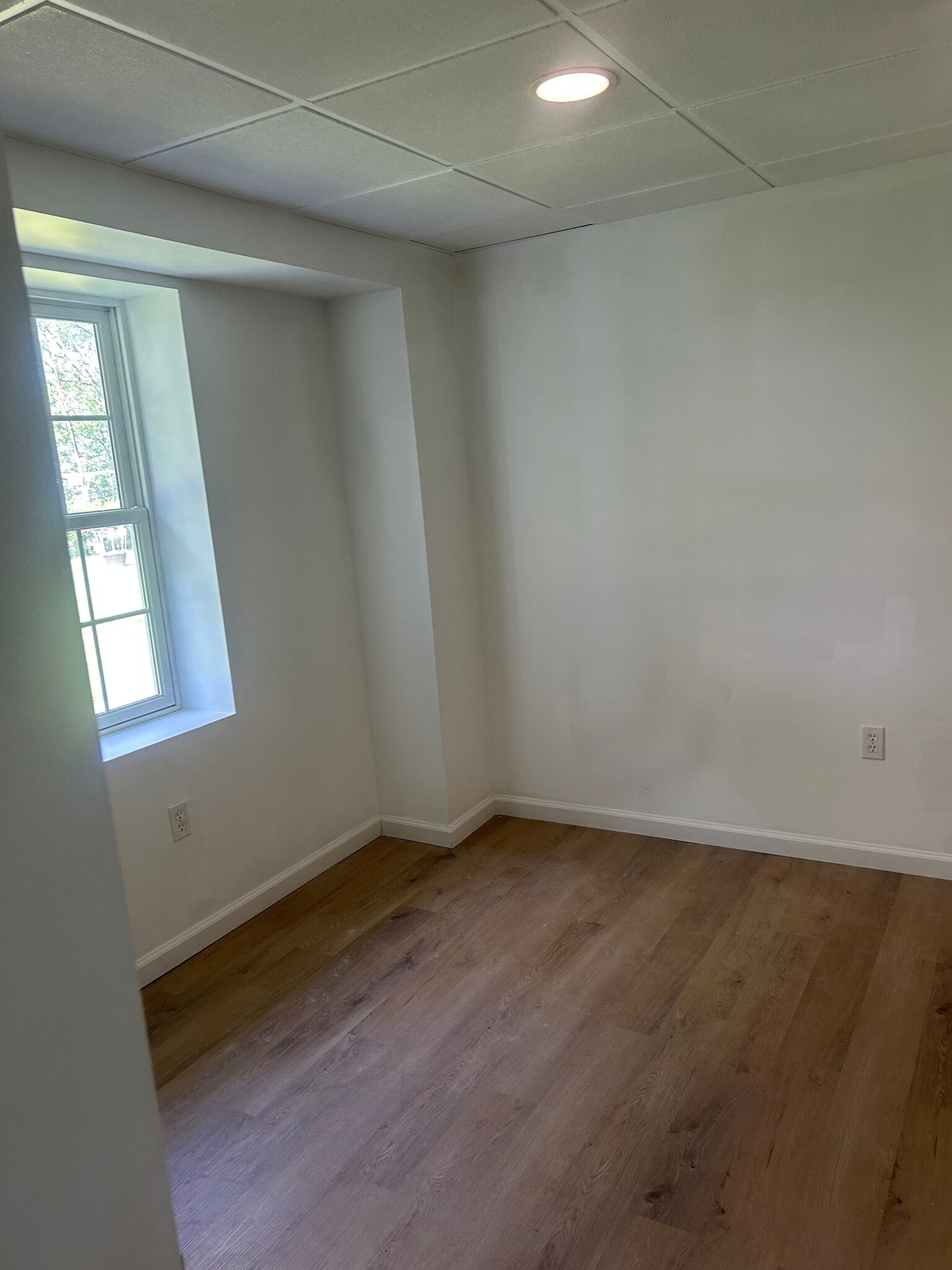 Bedroom 2 - 25 Gracedale Ave