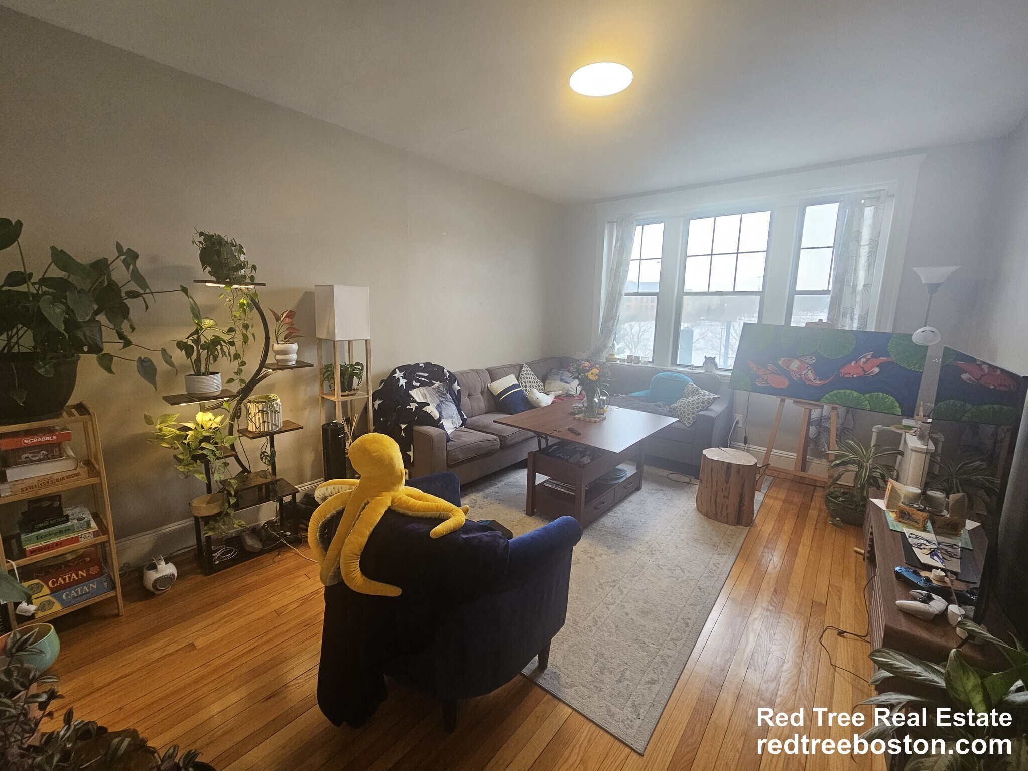 Building Photo - 370 Chestnut Hill Ave