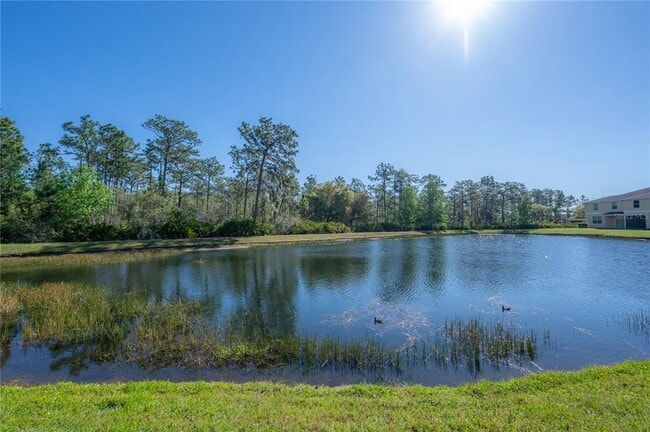 Building Photo - 20319 Starfinder Way