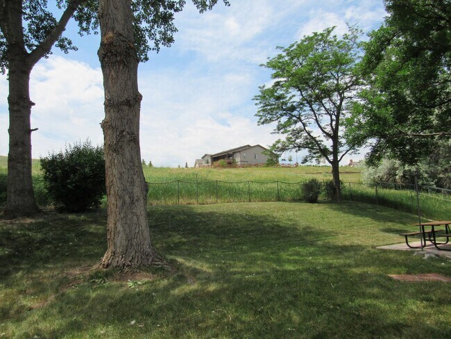 Building Photo - Spacious Bi Level home backing to open space