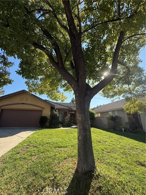 Building Photo - 1580 Manor Ln