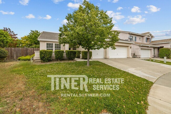 Building Photo - 51 Tulip Tree Cir