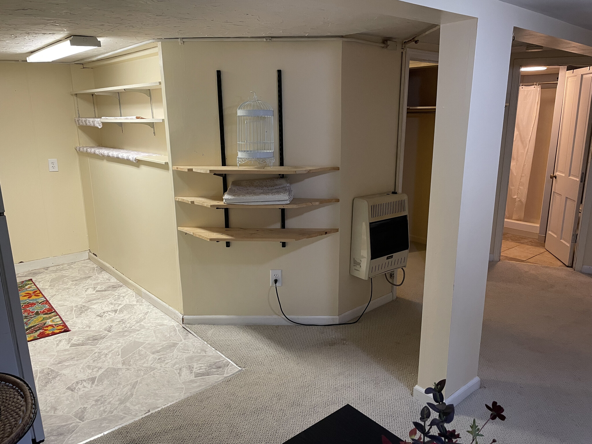 Adjustable Shelves - 3050 J Maddy Pky