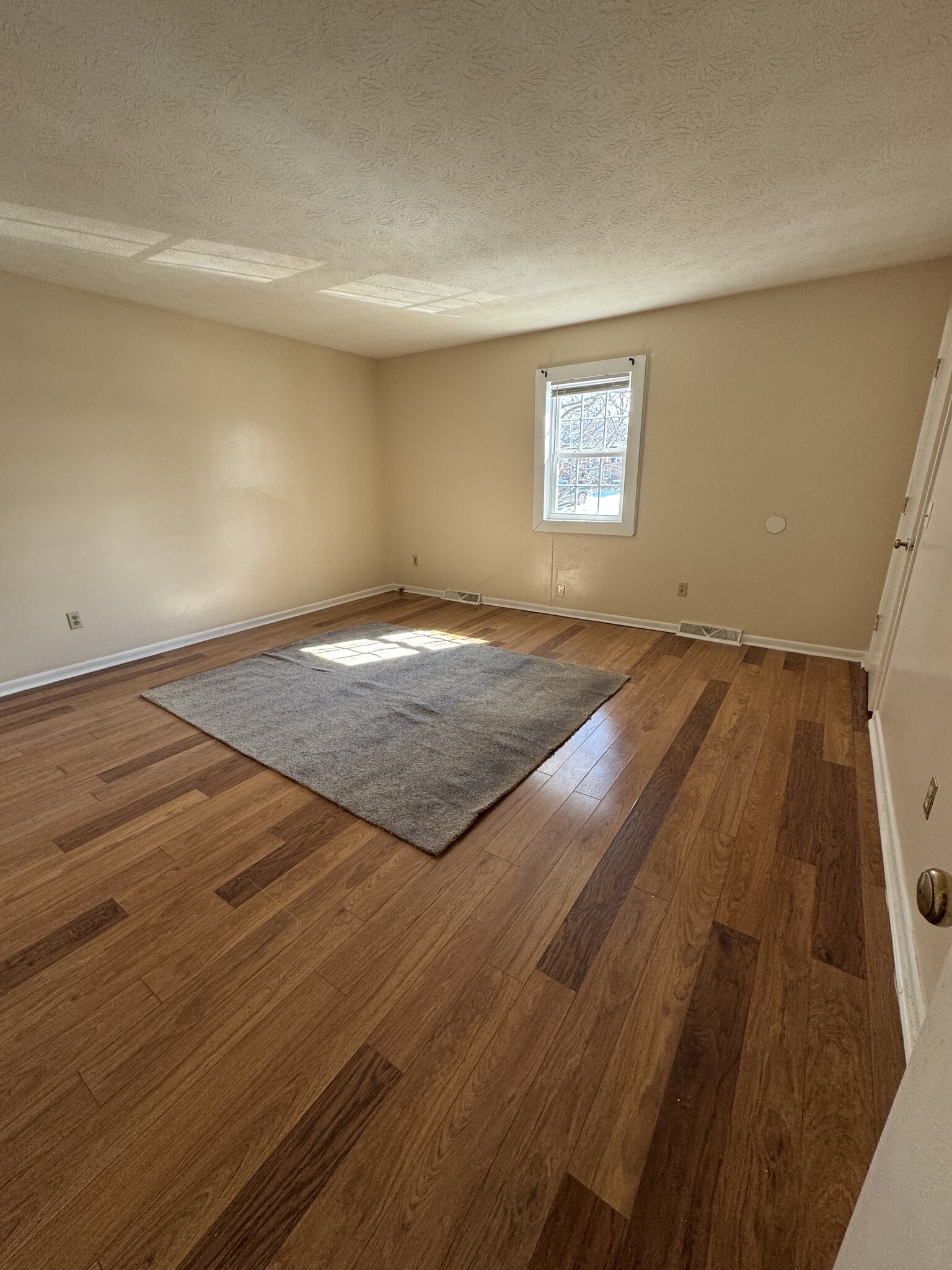 Spacious bedroom #1 - 145 E Cheryl Ln