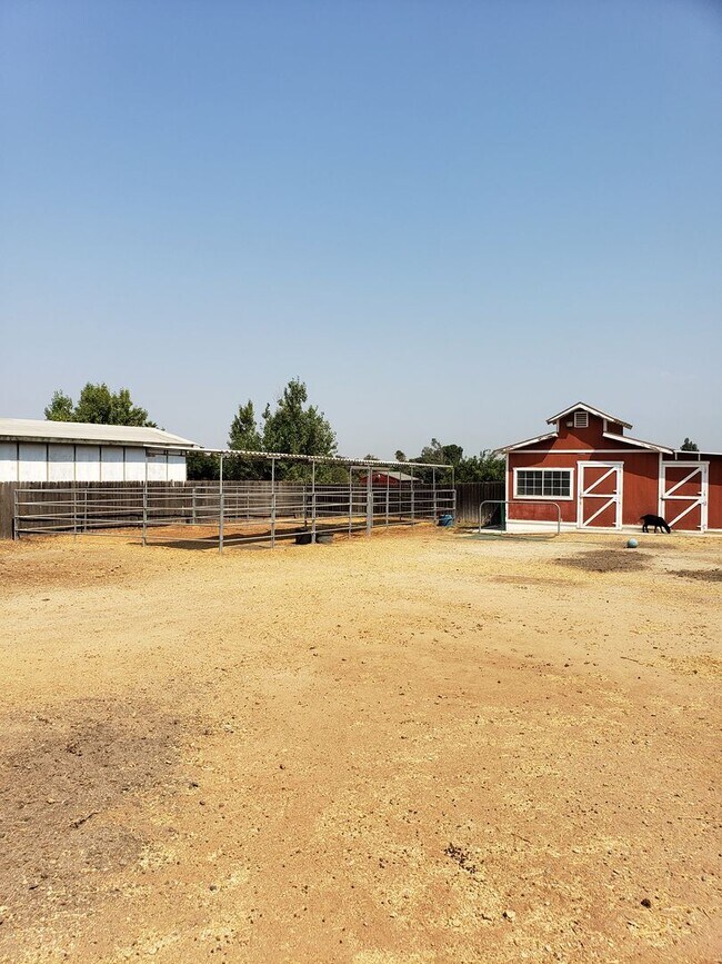 Building Photo - HORSE'S HORSE'S.....GREAT HOUSE WITH LOTS OF LAND AND A BARN