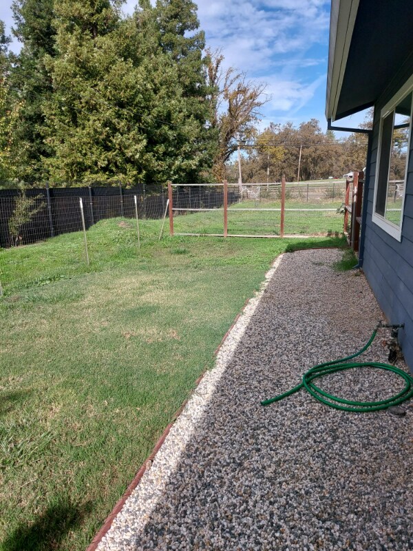 Building Photo - 10322 Daffodil Ct