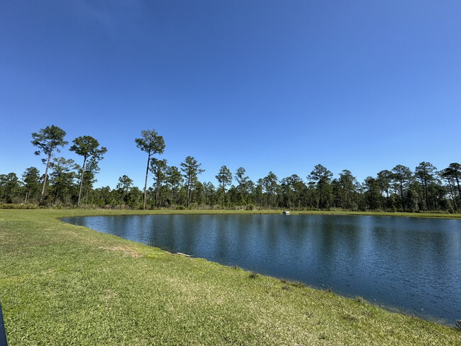 Building Photo - Village Park - Lake Asbury