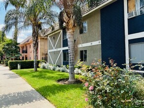 Building Photo - Casa Luna Apartments