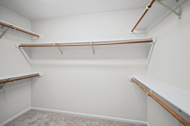 Building Photo - 7 Grey Birch Pl