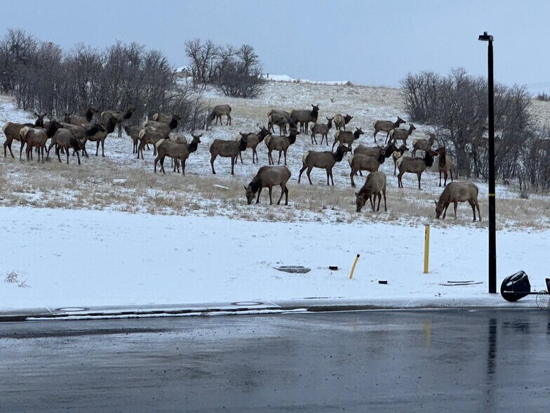 Building Photo - 148 Cortona Pl