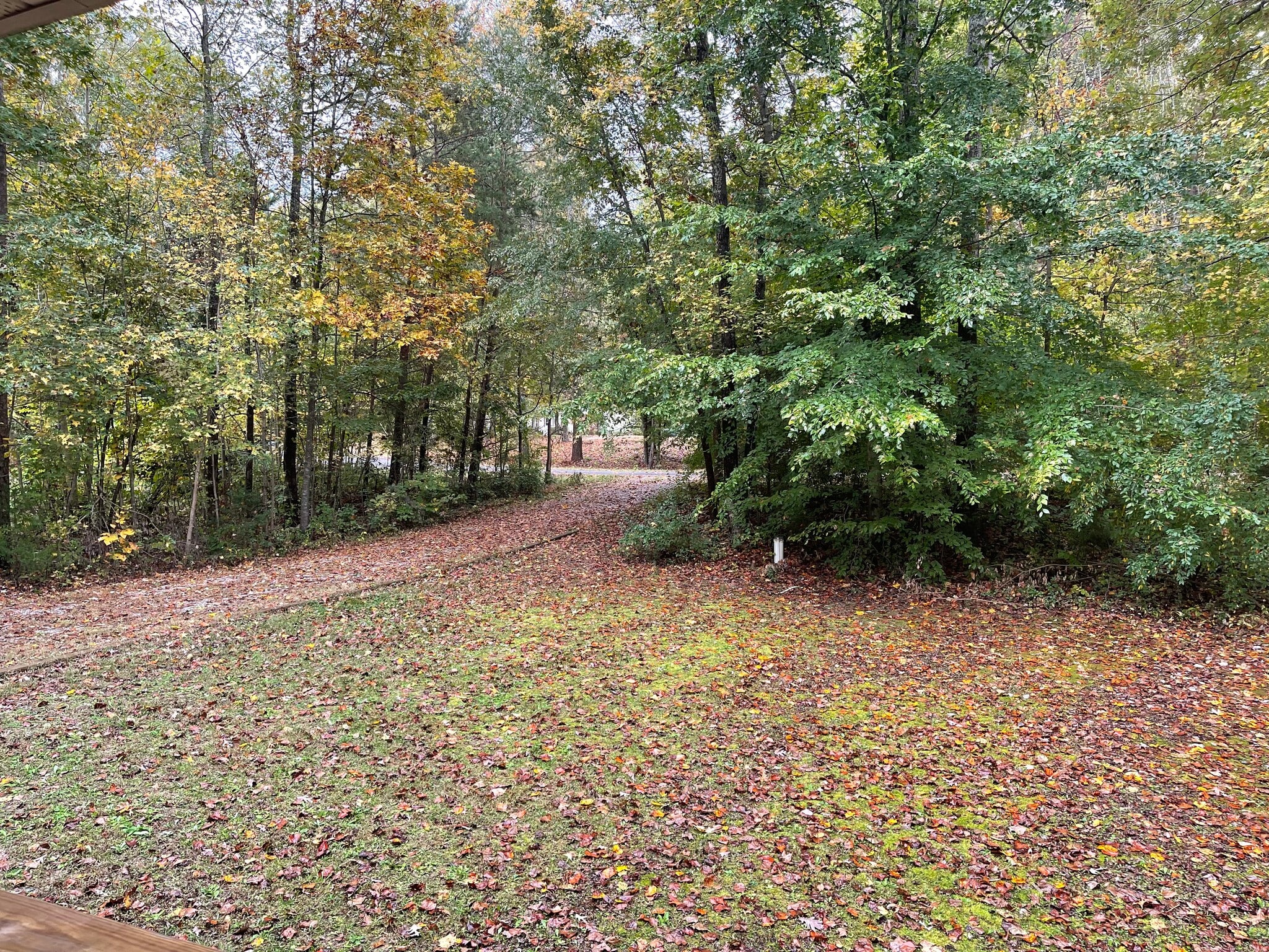 Building Photo - 6314 Springside Dr