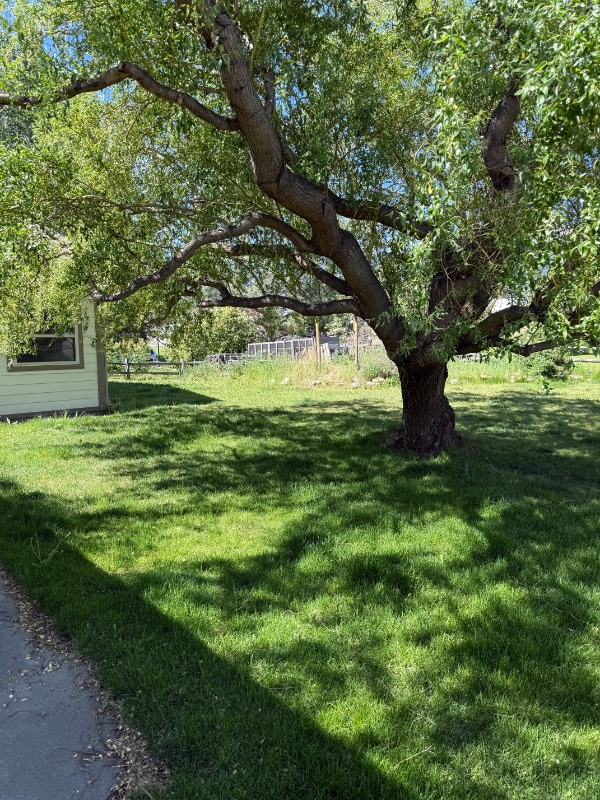 Building Photo - 3952 Houk Way