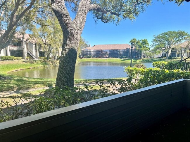 Building Photo - 10265 Gandy Blvd N