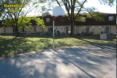 Building Photo - Pine Tree Townhomes