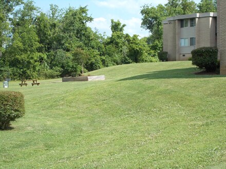 Building Photo - 1249 Hampshire Pike