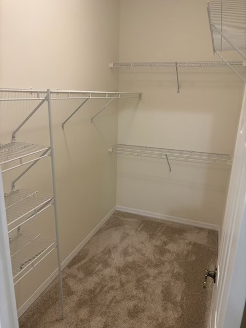 Building Photo - 110 Lighthouse Cir