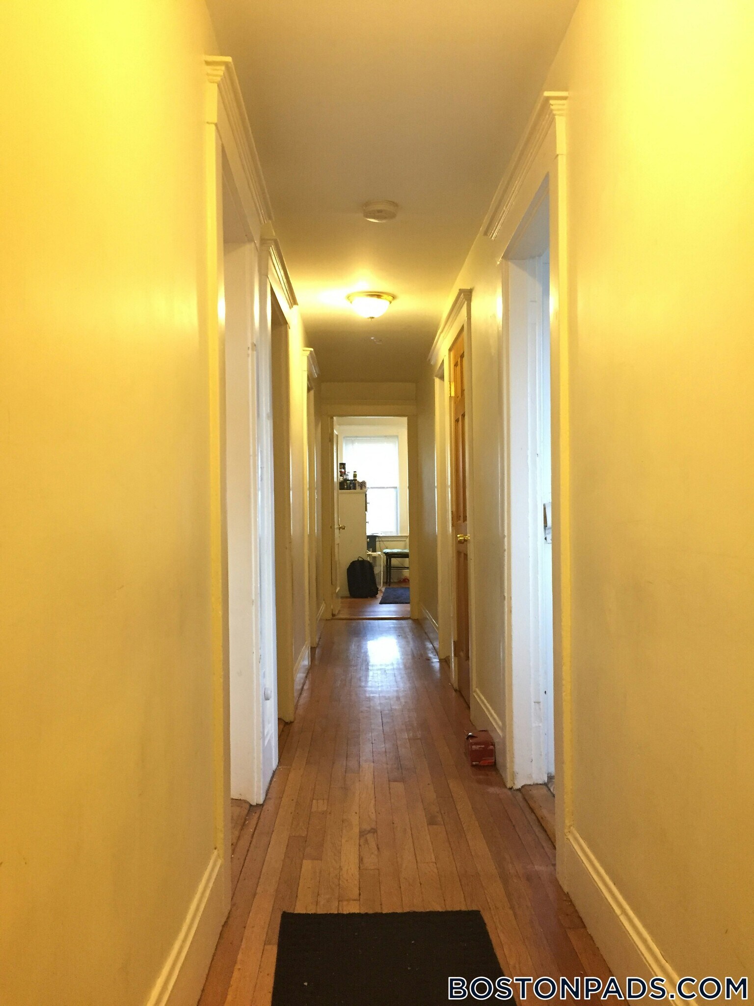 Building Photo - 209 Chestnut Hill Ave