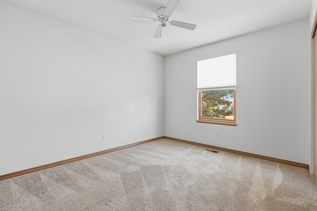 Building Photo - 4 Bed 2.5 Bath Home in Plum Creek of Castle Rock