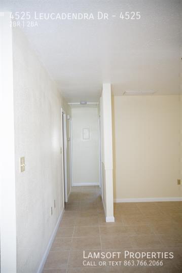 Building Photo - 4525 Leucadendra Dr