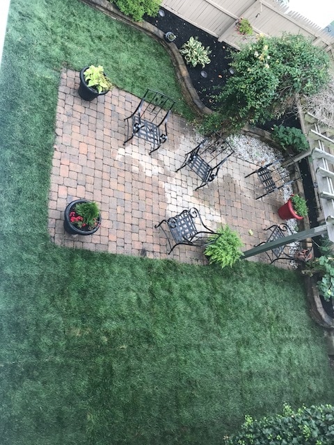 backyard - 572-2 New Jersey Ave