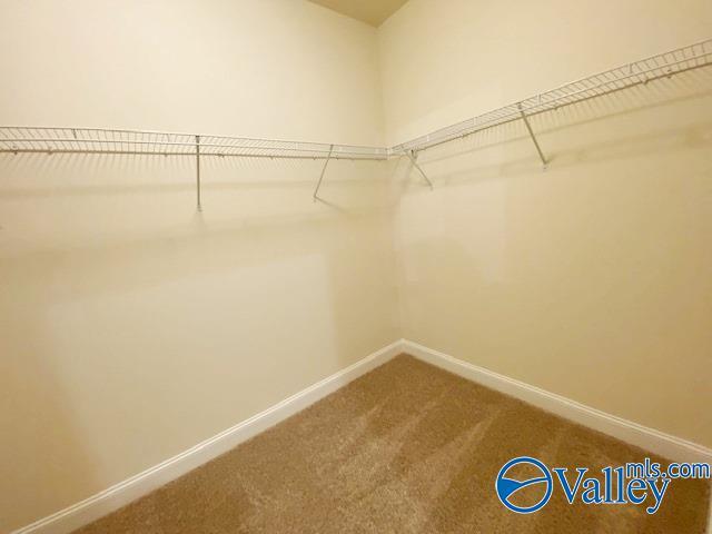 Building Photo - 110 Pointe Haven Ct