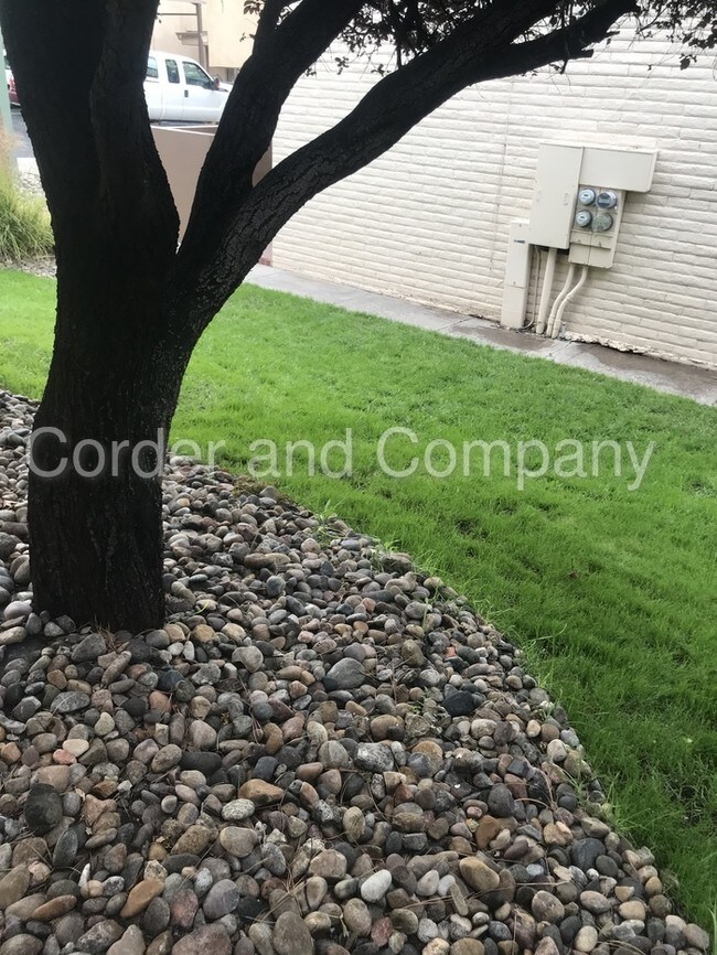 Building Photo - Available Now ! At The Pointe Condominiums