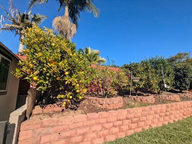 Building Photo - 3 Bedroom - 2 Bathroom Home in San Diego