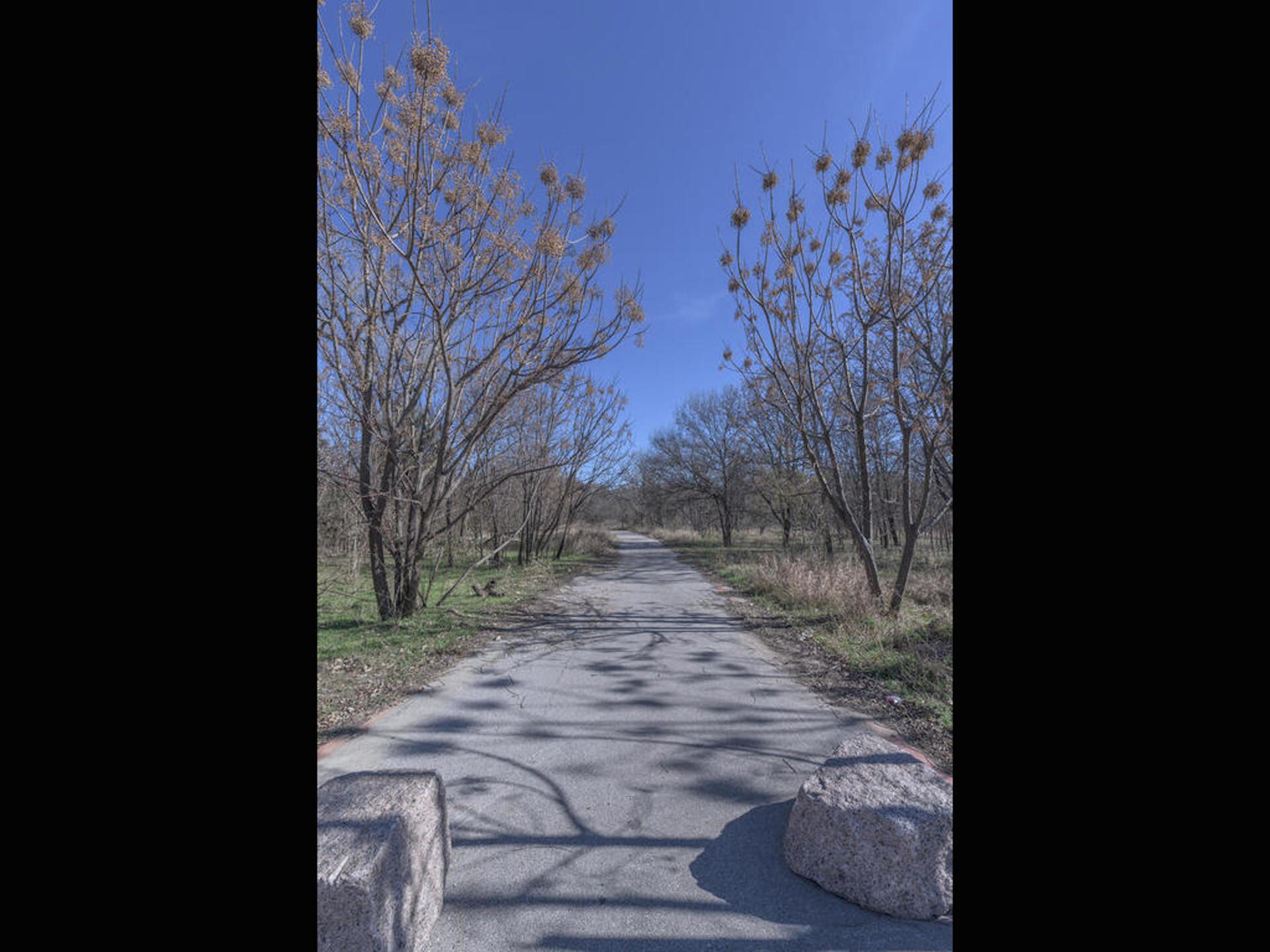 Building Photo - 503 Kemp St