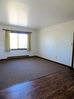 Unit 4 Living Room - 300 Ashland St