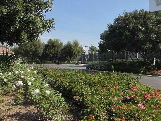 Building Photo - 41 Altezza