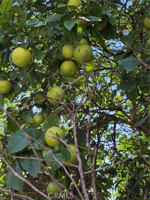 Building Photo - 2866 Treeview Pl