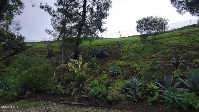 Building Photo - 3050 Wildwood Ave