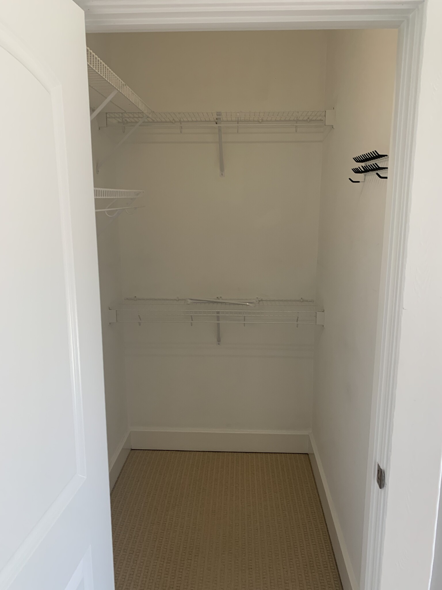 Primary Walk in Closet - 350 Mohawk Dr