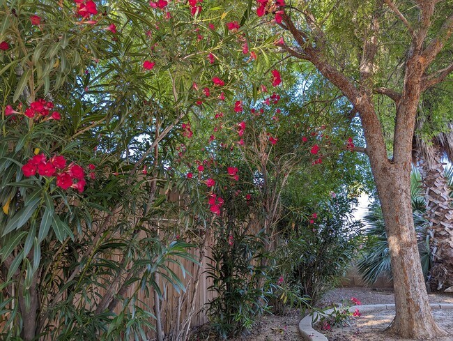 Building Photo - Cornell