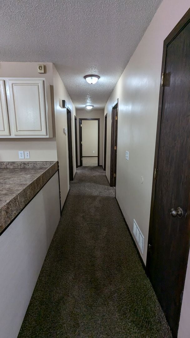 Building Photo - 3-bed home near Lake Manawa